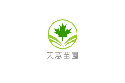 雲杉種植技(jì)術和(hé)方法